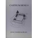 Castrum Bene 9: Burg und Ihr Bauplatz