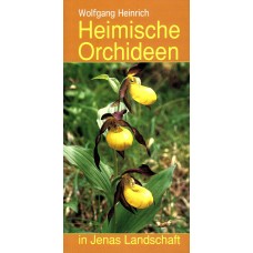 Heimische Orchideen in Jenas Landschaft